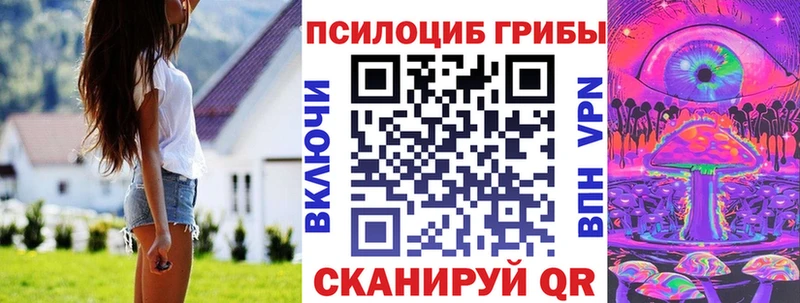 omg ONION  Спас-Деменск  Галлюциногенные грибы прущие грибы  где можно купить  